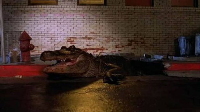 "Chicago, Chicago, it's my kinda town!"