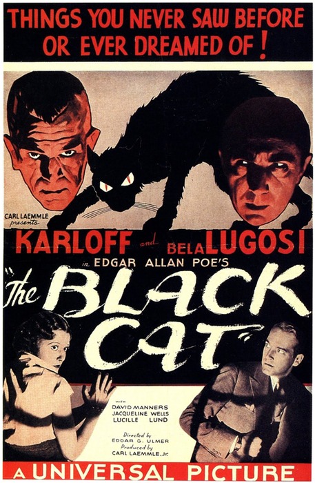 The Black Cat